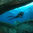 Immersioni sub e diving in Liguria Italian Riviera